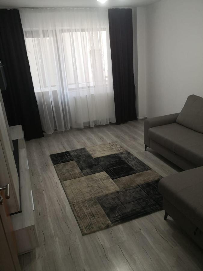 Apartament Cu Doua Camere Târgu Jiu Εξωτερικό φωτογραφία